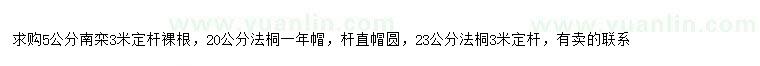 求購5公分南欒、20、23公分法桐