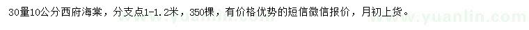 求購30量10公分西府海棠