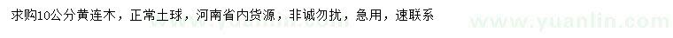 求購10公分黃連木