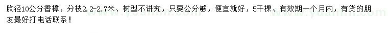 求購胸徑10公分香樟