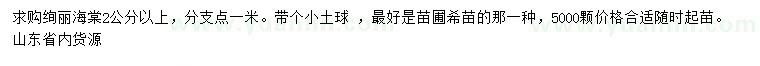求購(gòu)2公分以上絢麗海棠