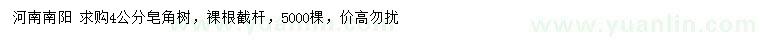 求購4公分皂角