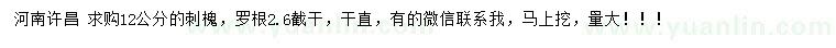 求購12公分刺槐