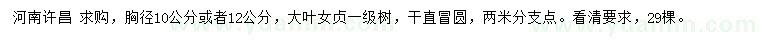 求購胸徑10、12公分大葉女貞