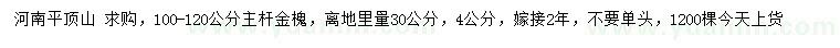 求購30量4公分金槐