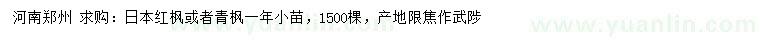 求購日本紅楓或者青楓一年小苗