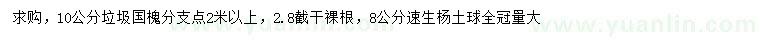 求購10公分垃圾國槐、8公分速生楊