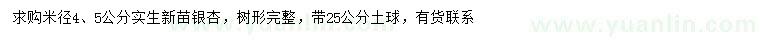 求購米徑4、5公分實(shí)生銀杏