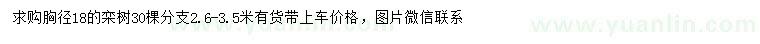 求購胸徑18公分欒樹