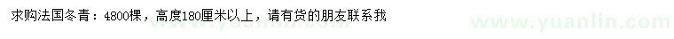 求購(gòu)高度180公分以上法國(guó)冬青