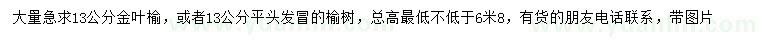 求購(gòu)13公分金葉榆、榆樹(shù)