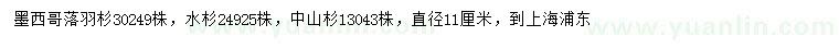 求購(gòu)墨西哥落羽杉、水杉、中山杉