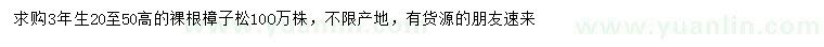 求購高20-50公分樟子松