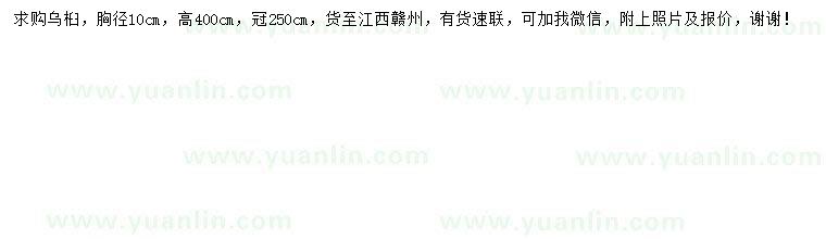 求購胸徑10公分烏桕