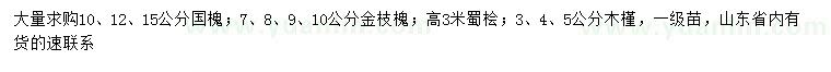 求購國槐、金枝槐、蜀檜等
