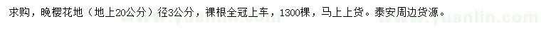 求購20公分量地徑3公分晚櫻