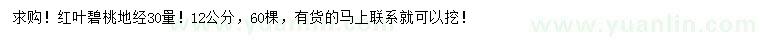 求購地徑30量12公分紅葉碧桃