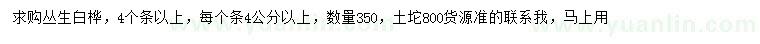 求購叢生白樺