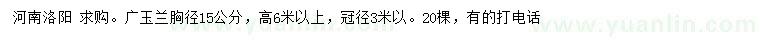 求購胸徑15公分廣玉蘭