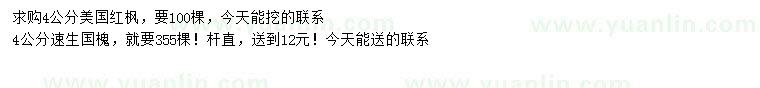 求購4公分美國紅楓、速生國槐
