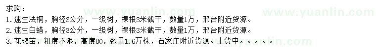 求購速生法桐、速生白蠟、花椒苗