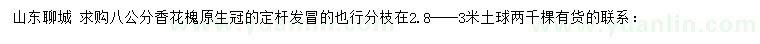 求購8公分香花槐