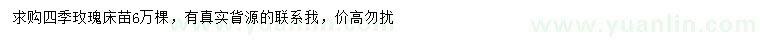 求購四季玫瑰