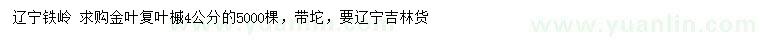 求購(gòu)4公分金葉復(fù)葉槭