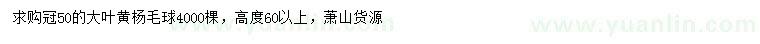 求購冠幅50公分大葉黃楊毛球