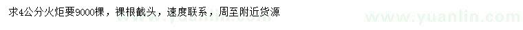 求購4公分火炬樹