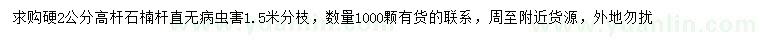 求購2公分高桿石楠