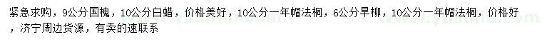 求購國槐、白蠟、旱柳等