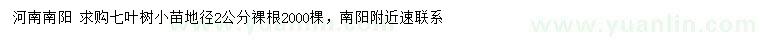 求購地徑2公分七葉樹小苗