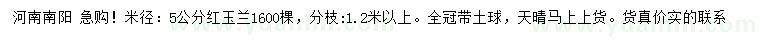 求購米徑5公分紅玉蘭