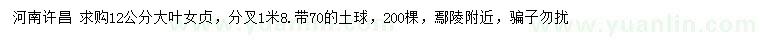 求購12公分大葉女貞