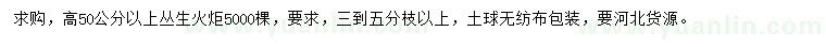求購(gòu)高50公分以上叢生火炬