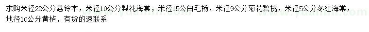 求購(gòu)懸鈴木、梨花海棠、白毛楊等