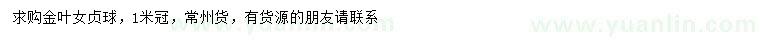 求購(gòu)冠幅1米金葉女貞球