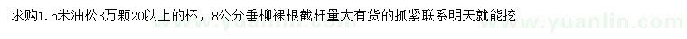 求購1.5米油松、8公分垂柳