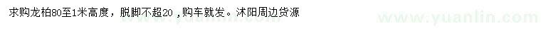 求購高80-100公分龍柏