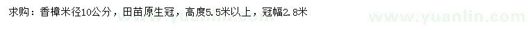 求購米徑10公分香樟