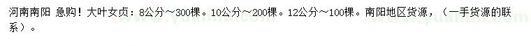 求購8、10、12公分大葉女貞