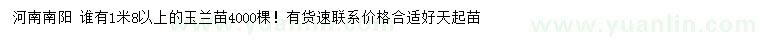 求購(gòu)1.8米以上玉蘭