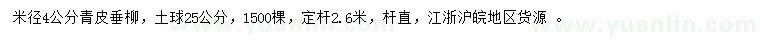 求購米徑4公分青皮垂柳