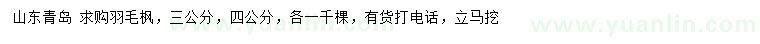 求購(gòu)3、4公分羽毛楓