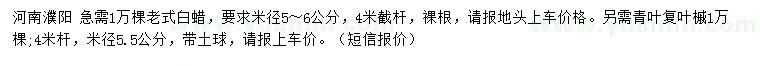 求購米徑5-6公分老式白蠟、5.5公分青葉復(fù)葉槭