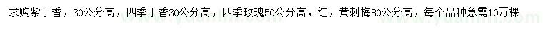 求購丁香、四季玫瑰、黃刺梅