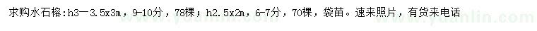 求購6-7、9-10公分水石榕
