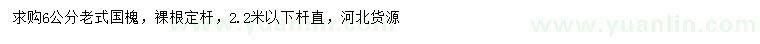 求購6公分老式國槐