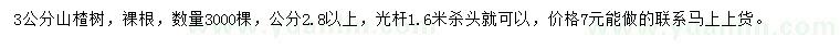 求購3公分山楂樹